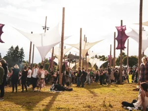 Online ticketverkoop voor muziekfestival- en concertpromotors 1